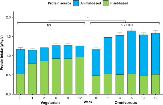 A new trial compared muscle gains in vegetarians and meat eaters. One difference stood out. : Science Alert A new trial compared muscle gains in vegetarians and meat eaters. One difference stood out. : Science Alert