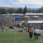 Colorado Breweries Win Big at the 2026 Great American Beer Festival