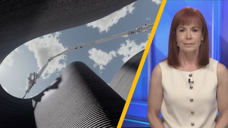BlackRock and Baillie Gifford bet big on 3D printed houses Icon