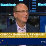 BlackRock's Fink Warns: Data Center Moratorium Could Trigger Recession