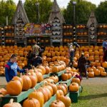 74-year-old's pumpkin farm brings in $2 million a year, in just 7 weeks