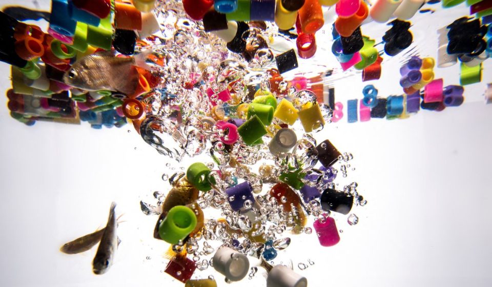 Microplastics react with water, according to a new study. This is a problem for biology