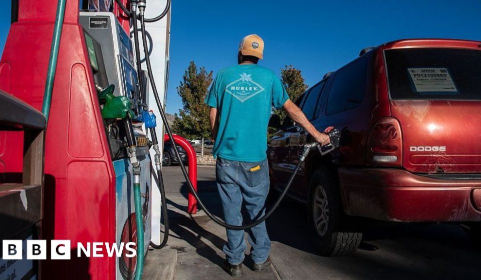 Trump wants to cut fuel costs as midterm elections approach: will it work? -BBC Trump wants to cut fuel costs as midterm elections approach: will it work? -BBC