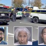 New York Times executive's in-laws charged after fatal shooting in California park