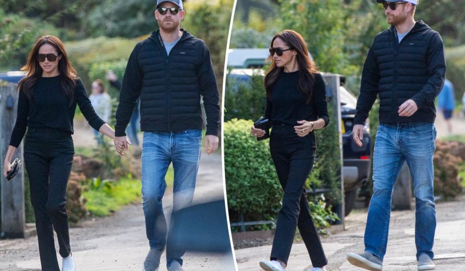 Prince Harry and Meghan Markle hold hands during a romantic pub date