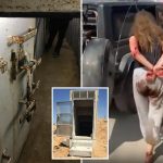IDF reveals vast terror tunnel used by Hamas to kidnap 18 Israeli soldiers and civilians on October 7