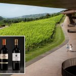 Italy hit by biggest wine heist on record: thieves steal 30,000 bottles worth $5.8 million