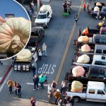 California Pumpkin Contest Awards $21,000 to Minnesota Grower