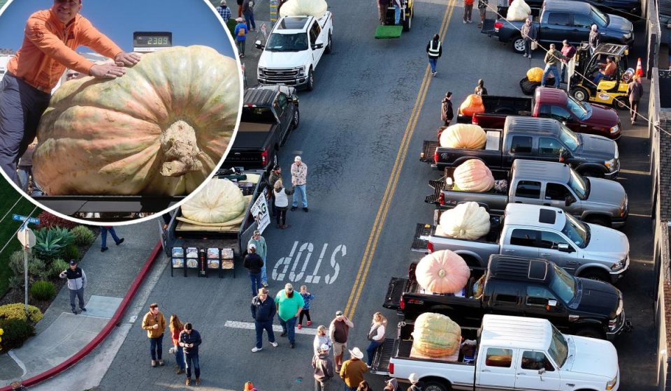 California Pumpkin Contest Awards $21,000 to Minnesota Grower