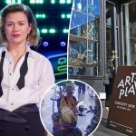Brooklyn store contacted Kelly Clarkson 'multiple times' over mechanical bird feud