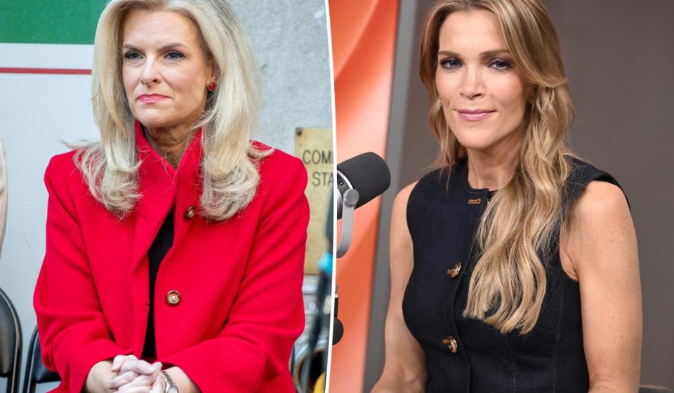 Former Fox News Meteorologist Janice Dean ‘Sick’ of ‘Mean Girl’ Megyn Kelly ‘Belittling People’ Former Fox News Meteorologist Janice Dean 'Sick' of 'Mean Girl' Megyn Kelly 'Belittling People'