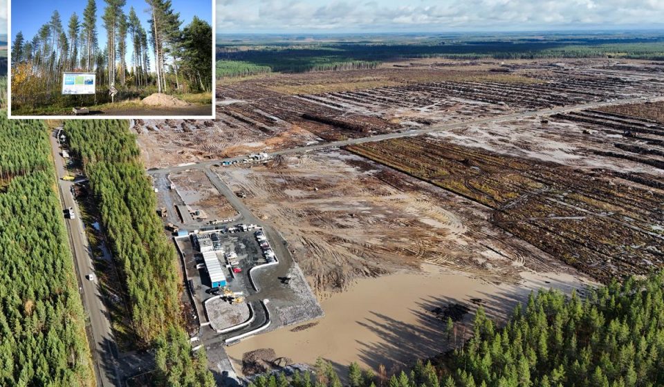 Google illegally cut down 250,000 trees for Finnish data center, infuriating locals: report