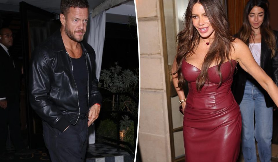 Sofía Vergara was spotted holding hands with new Imagine Dragons frontman Dan Reynolds during an intimate dinner