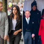 Royal family avoids offering support to Meghan Markle and Prince Harry during 'difficult' time