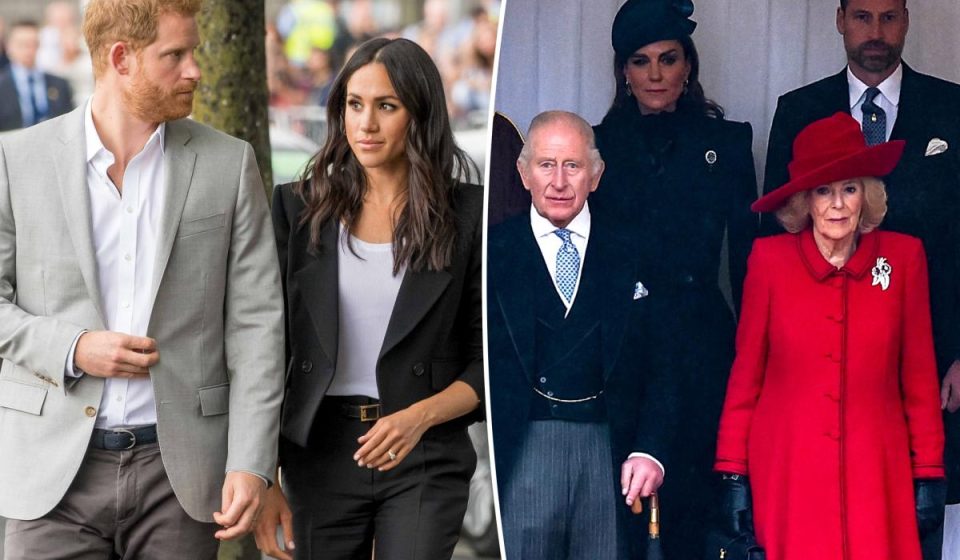 Royal family avoids offering support to Meghan Markle and Prince Harry during 'difficult' time