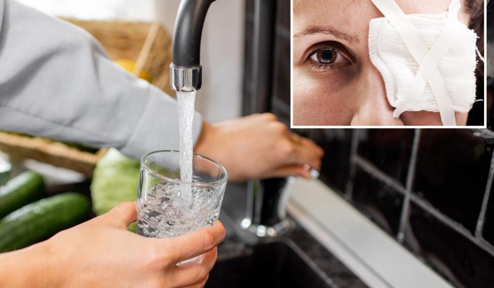 Louisiana authorities issue warning about amoebae hiding in tap water