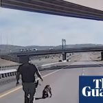 Video shows moment Utah police dog is seriously injured while jumping from overpass | Utah