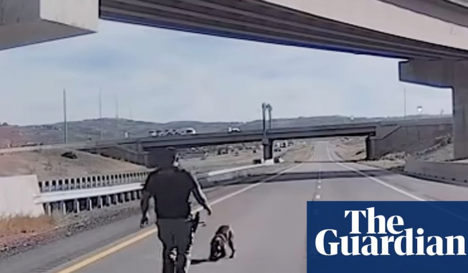 Video shows moment Utah police dog is seriously injured while jumping from overpass | Utah Video shows moment Utah police dog is seriously injured while jumping from overpass | Utah