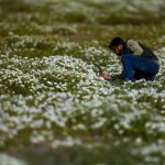 El Niño brings change to the driest desert on earth