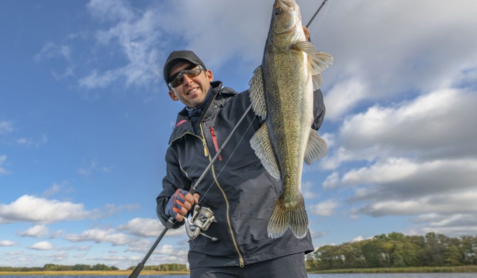 Rethinking catch-and-release fishing