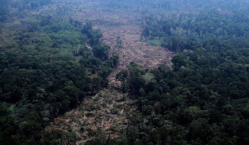 Scientists: this election could decide the fate of Amazon