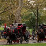 NYC Council approves horse-drawn carriage ban