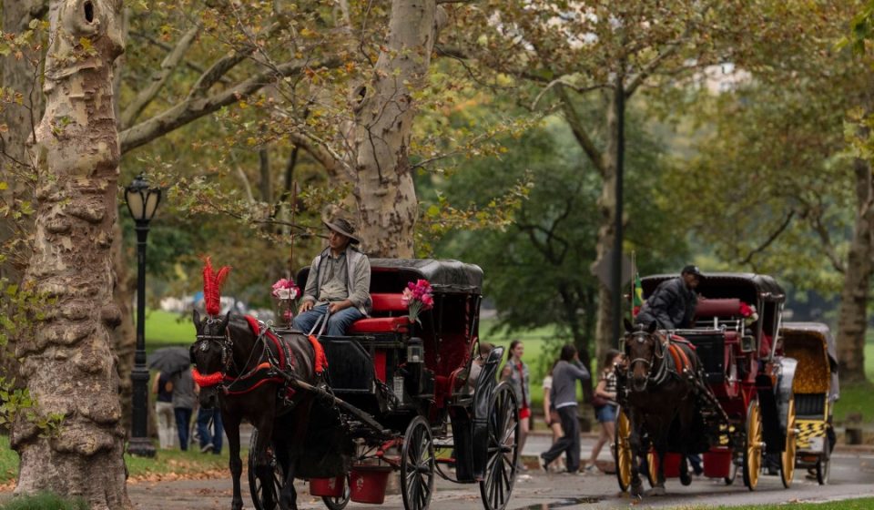 NYC Council approves horse-drawn carriage ban NYC Council approves horse-drawn carriage ban