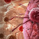 Sex chromosomes influence immunity, cancer, aging and disease risk