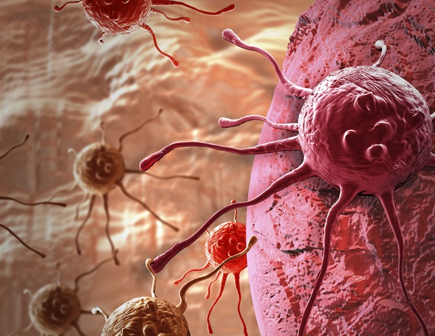 Sex chromosomes influence immunity, cancer, aging and disease risk