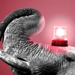 Scoop: Senate Republicans fear Mississippi is at stake