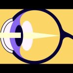 Scientists may have found a way to repair damaged adult retinas themselves: ScienceAlert