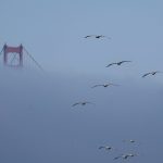 Billionaires are fleeing California. The tax authorities are preparing to pursue them.