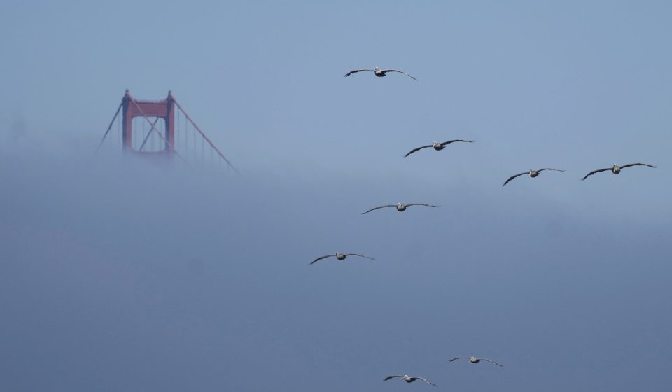 Billionaires are fleeing California. The tax authorities are preparing to pursue them.