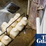 Group of doctors calls for ban on raw milk – as it becomes increasingly popular in the US | Food security