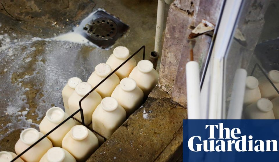 Group of doctors calls for ban on raw milk – as it becomes increasingly popular in the US | Food security