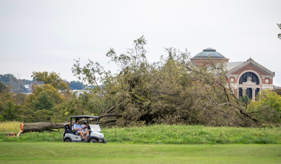 'Furious' Judge Halts Trump Admin's Tree Demolition at DC's East Potomac Golf Course