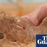 Neanderthal remains could be first human ancestors discovered killed by spear | Neanderthals