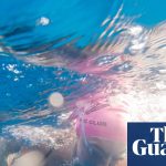 Ultra-endurance athlete swims 900 miles along entire California coast | California