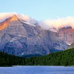 Deadly mushroom appears in Glacier National Park for the first time