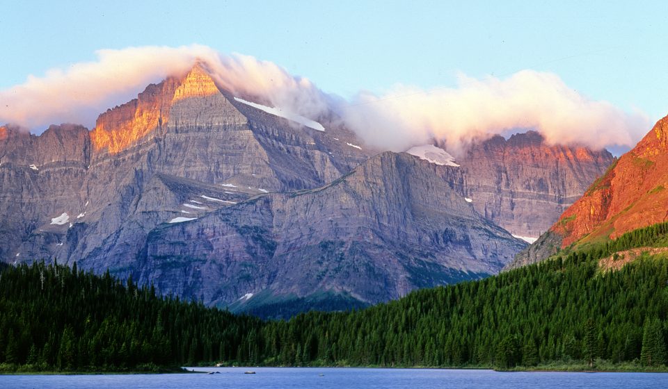 Deadly mushroom appears in Glacier National Park for the first time