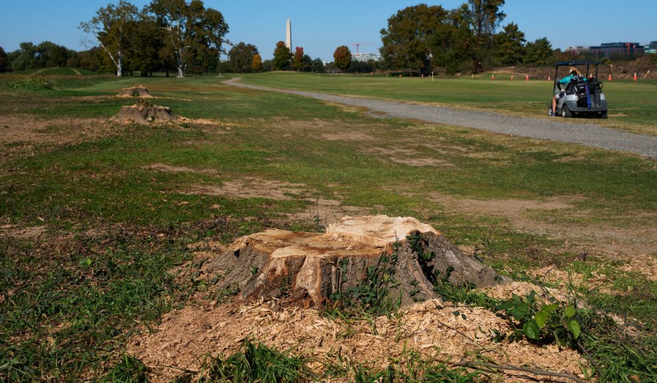 Judge bars Trump admin from further felling of trees, closing golf course Judge bars Trump admin from further felling of trees, closing golf course