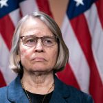 Conservative climate movement faces blue wave