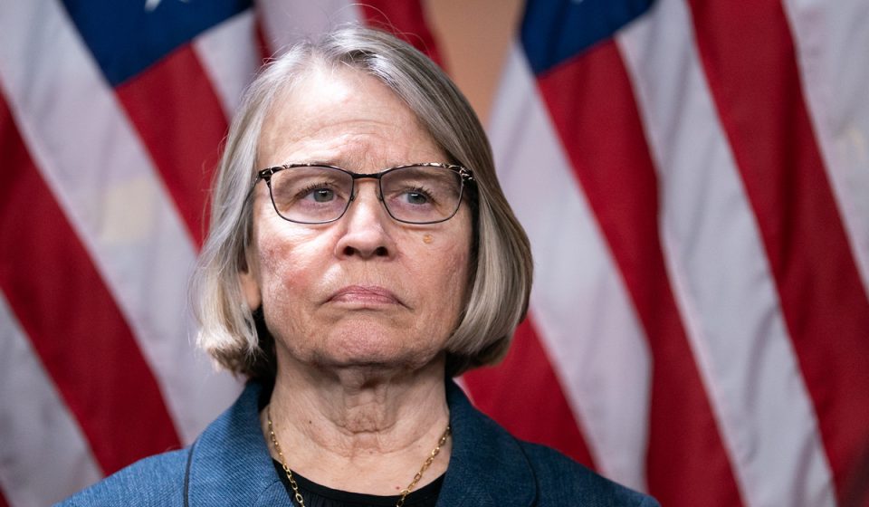 Conservative climate movement faces blue wave