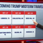 Democratic 2026 candidates throw Joe Biden under the bus at the border
