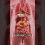 New pancreatic cancer vaccine triggered immune responses in 99% of patients: ScienceAlert