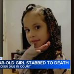 Shavon Gayden, a woman accused in Chicago of fatally stabbing Eddimar Paola Hernandez in Chatham, is due in court Monday