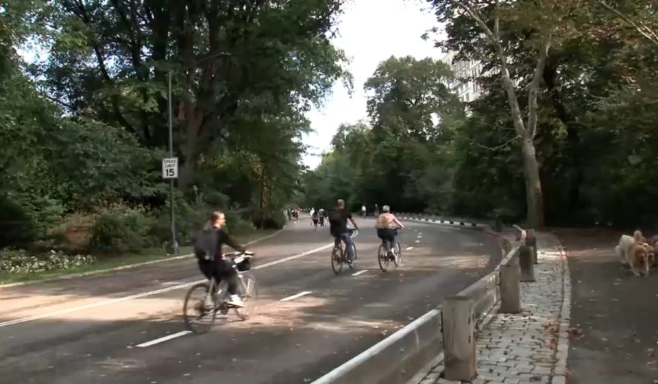 Central Park biker killed: Man thrown from bike and dies after hitting dog in New York