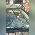 Man shot in vehicle during ICE raid in Marble Hill, Manhattan