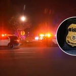 Off-duty ICE agent shot after assaulting 72-year-old man and his daughter at Fresno home, police say