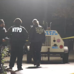 Woman sexually assaulted at knifepoint in Central Park